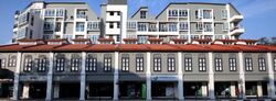 Icon @ Pasir Panjang (D5), Shop House #471195241